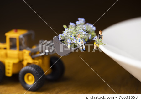 男子在輪式裝載機鏟斗中給予和接受大量 Myosotis arvensis 花 78031658