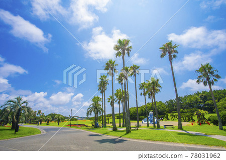 Tsujido海濱公園 Tsujido海濱公園 78031962