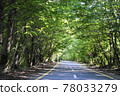 A beautiful treelined country road with sun rays seeking through the foliage. 78033279