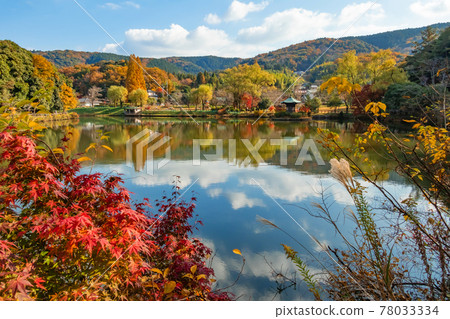秋天的定光寺公園 <愛知縣瀨戶市> 秋天的定光寺公園 <愛知縣瀨戶市> 78033334