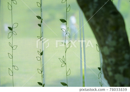 幕後玩耍的小女孩 4 78033839