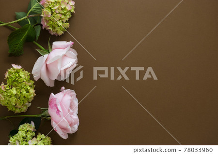 Floral mock up. Pink roses frame isolated on brown background with copy space. Floral mock up. Pink roses frame isolated on brown background with copy space. 78033960