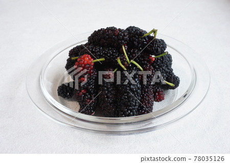 桑椹5 桑椹5 78035126