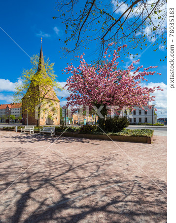 Springtime with historical buildings in the city Rostock, Germany 78035183