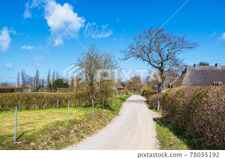 Way with trees and buildings in Ahrenshoop, Germany Way with trees and buildings in Ahrenshoop, Germany 78035192