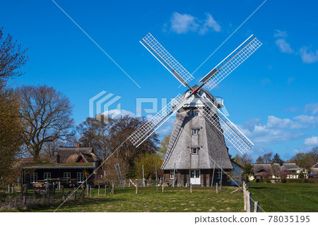 Historical wind mill with trees in Ahrenshoop, Germany Historical wind mill with trees in Ahrenshoop, Germany 78035195