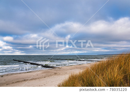 Groynes and dune on shore of the Baltic Sea in Ahrenshoop, Germany Groynes and dune on shore of the Baltic Sea in Ahrenshoop, Germany 78035220
