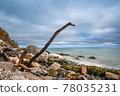 Baltic Sea coast on the island Moen in Denmark 78035231