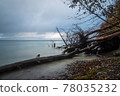Baltic Sea coast on the island Moen in Denmark 78035232