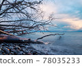 Baltic Sea coast on the island Moen in Denmark 78035233