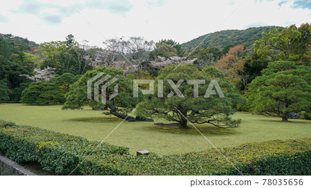 Ise Jingu Shrine 78035656