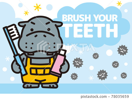 河馬刷牙 河馬刷牙 78035659