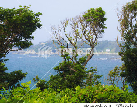 [神奈川] 從橫須賀永井海手公園眺望大海 78036113
