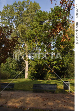 馮德爾公園在荷蘭（阿姆斯特丹）的景觀 78036356