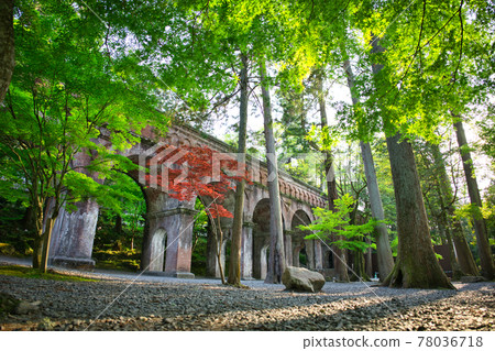 京都南禪寺水色閣的新綠 78036718