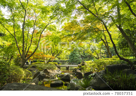 Ootaro Park 78037351