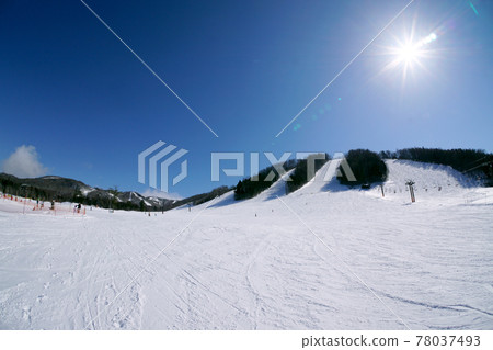 戶隱滑雪場(長野縣) 戶隱滑雪場(長野縣) 78037493