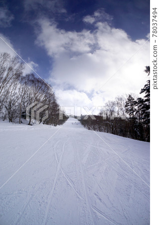 Togakushi Ski Resort (Nagano Prefecture) Togakushi Ski Resort (Nagano Prefecture) 78037494
