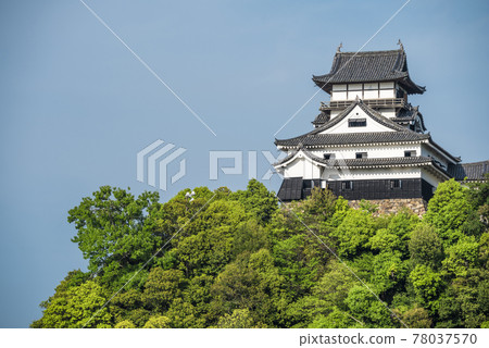 《愛知縣》犬山城 《愛知縣》犬山城 78037570