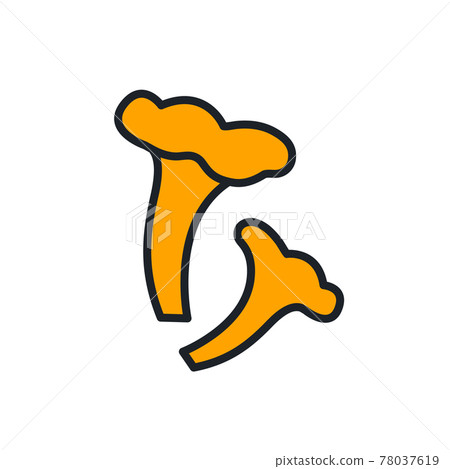 Chanterelle icon. Vector isolated linear color icon contour shape outline. Thin line. Modern glyph design. Mushrooms. Food ingredients. Chanterelle icon. Vector isolated linear color icon contour shape outline. Thin line. Modern glyph design. Mushrooms. Food ingredients. 78037619