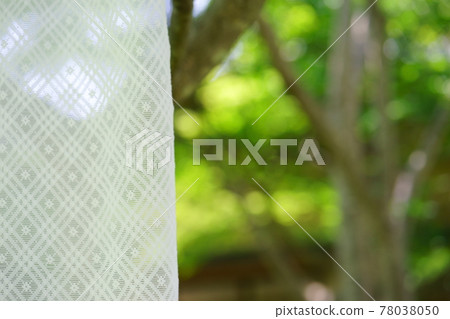 Garden with trees behind the curtain 8 78038050