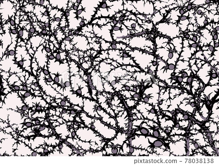 Branches of Blackthorn. Vector drawing Branches of Blackthorn. Vector drawing 78038138