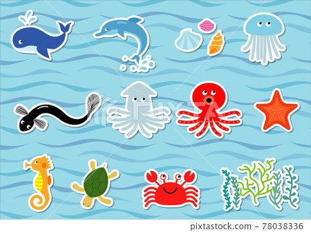 Set of vector illustrations of sea creatures 78038336