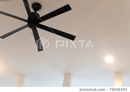 Ceiling fan and ceiling fan 78038393