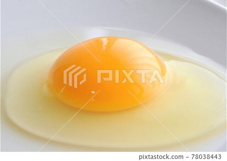 生雞蛋(蛋黃/蛋清)蛋盤形象 生雞蛋(蛋黃/蛋清)蛋盤形象 78038443