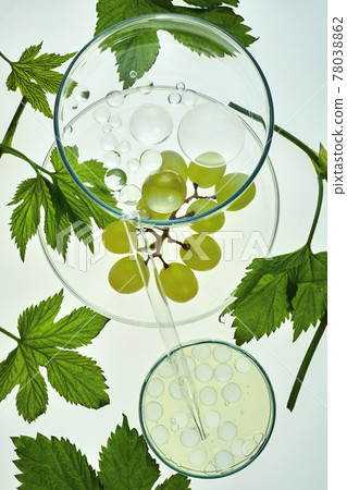 Abstract cosmetic laboratory. Organic bio cosmetic with grapes seeds oil and herbal ingredients. Top view Abstract cosmetic laboratory. Organic bio cosmetic with grapes seeds oil and herbal ingredients. Top view 78038862