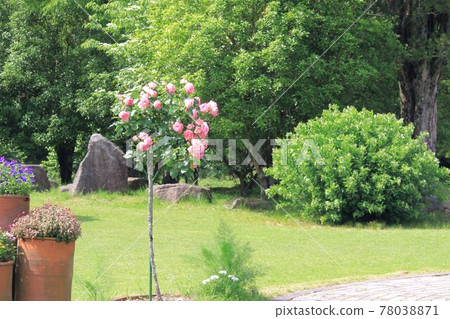 一個花園 一個花園 78038871