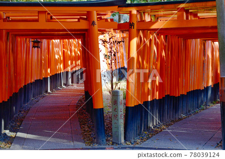 Fushimi Inari Taisha Shrine Torii (Kyoto City, Kyoto Prefecture) Fushimi Inari Taisha Shrine Torii (Kyoto City, Kyoto Prefecture) 78039124