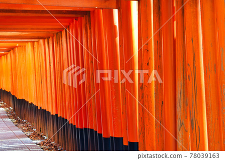 Fushimi Inari Taisha Shrine Torii (Kyoto City, Kyoto Prefecture) Fushimi Inari Taisha Shrine Torii (Kyoto City, Kyoto Prefecture) 78039163