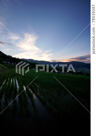 Evening of rice terraces in early summer (Nagano Prefecture) 78039387