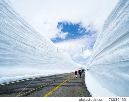 [Toyama] Snow Corridor Walk Blue Sky 78039460