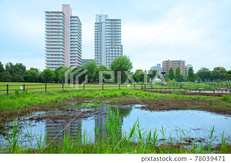 照耀小城原公園池塘和水面的風景 照耀小城原公園池塘和水面的風景 78039471