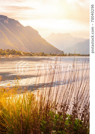 Flowers, Swiss Alps, lake, Montreux, Switzerland Flowers, Swiss Alps, lake, Montreux, Switzerland 78040296