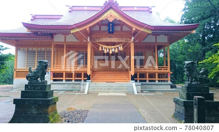 Kasuga Shrine 78040807