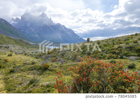 Lake Pehoe view, Torres del Paine, Chile 78045085