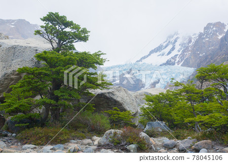 Piedras Blancas Glacier view, El Chalten, Patagonia 78045106