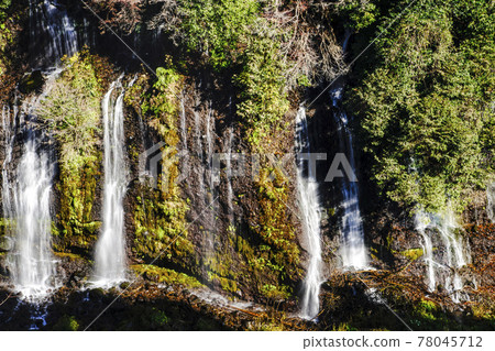 [Shiraito Falls] Shizuoka Prefecture Shiraito Falls in autumn colors 78045712