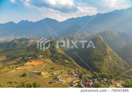 Terraced rice field in Sapa Terraced rice field in Sapa 78045866