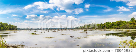 Swamp in Angkor Wat Swamp in Angkor Wat 78045983