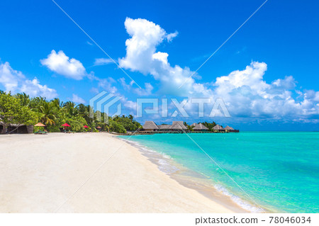 Tropical beach in the Maldives Tropical beach in the Maldives 78046034