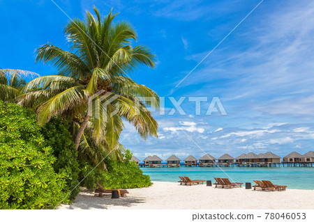 Sunbed and umbrella in the Maldives 78046053