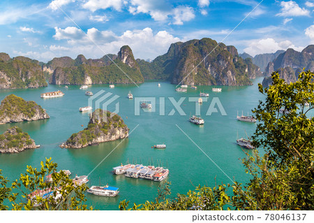 Halong bay, Vietnam Halong bay, Vietnam 78046137