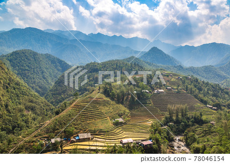 Terraced rice field in Sapa 78046154