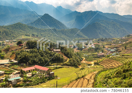 Terraced rice field in Sapa Terraced rice field in Sapa 78046155
