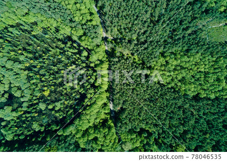 Green summer forest background, aerial view. Nature landscape 78046535