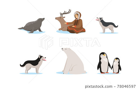 Female Eskimo Character in Traditional Clothing and Arctic Animals Vector Set 78046597